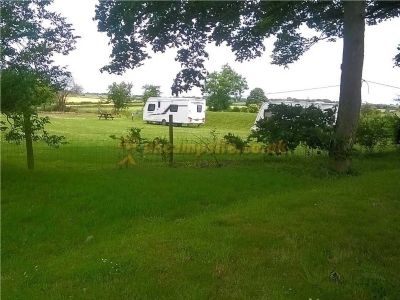 Haugh Rigg Farm Campsite