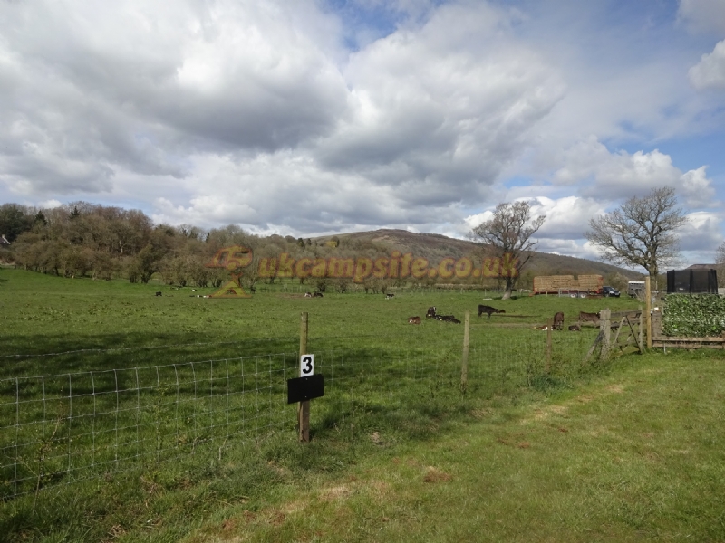 Heatherhill Farm Campsite