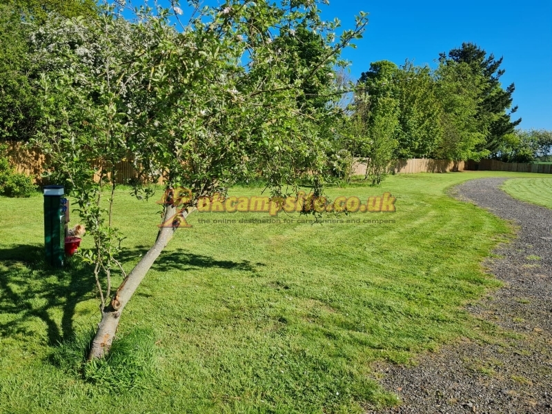 Dove Cote Lodge Campsite