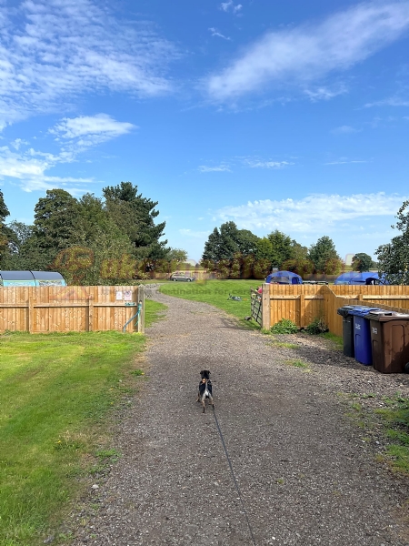 Dove Cote Lodge Campsite