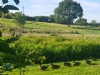The Marsh Camping And Caravanning Site The Marsh Camping And Caravanning Site