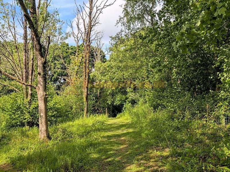 Pantybarcud Campsite