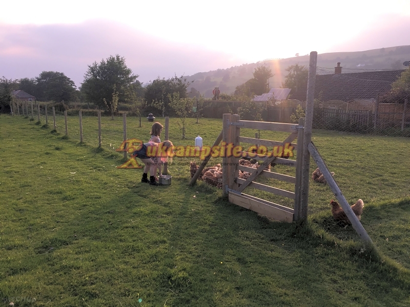 New Inn Camping