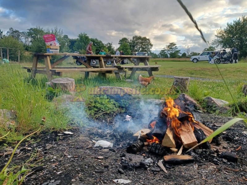 New Inn Camping