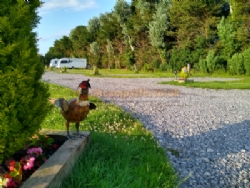 The Happy Pheasant Caravan Park And Campsite