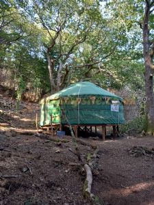 Farchynys Wood Yurt