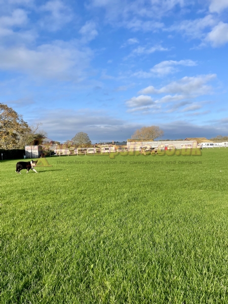 Abbey Farm Caravan And Camping Park