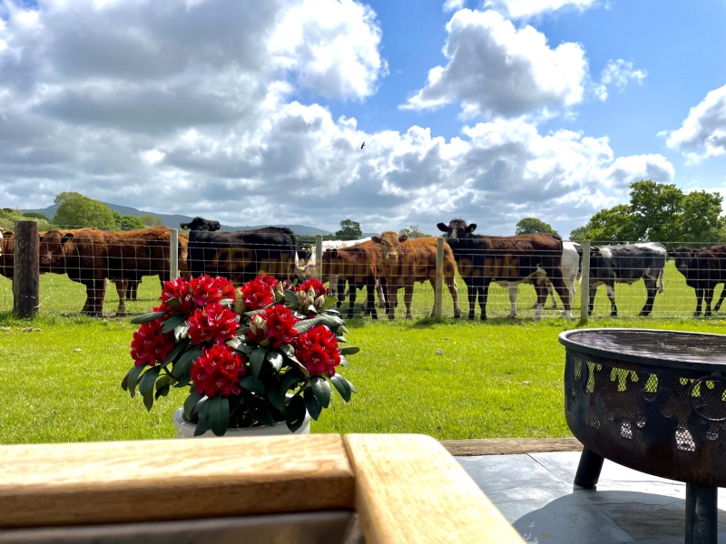 Abbey Farm Caravan And Camping Park