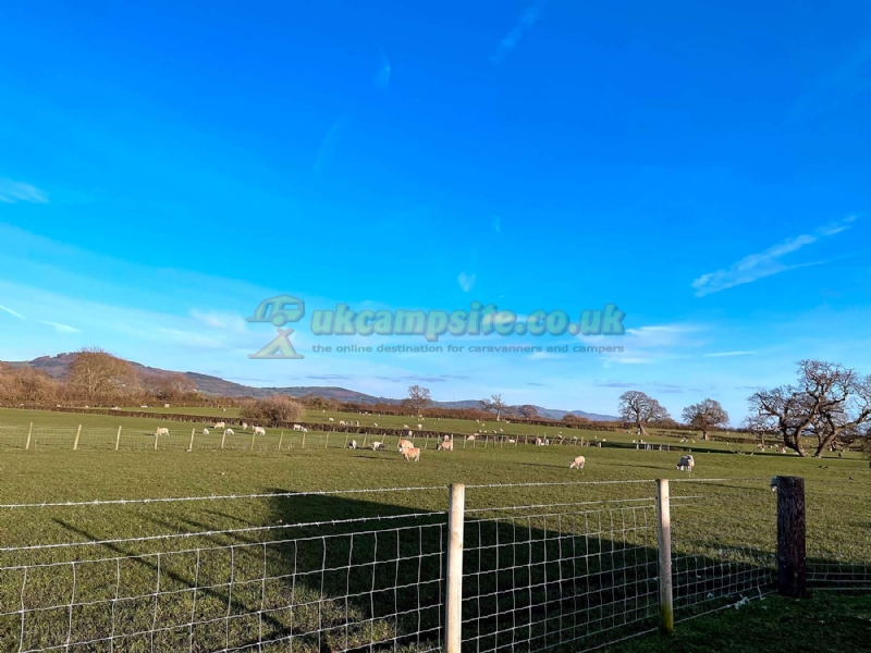Abbey Farm Touring Caravan Park And Glamping Pods