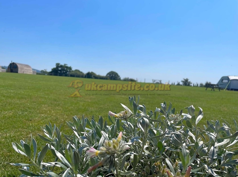 Abbey Farm Touring Caravan Park And Glamping Pods