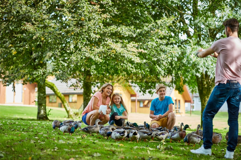 Hengar Manor Holiday Park (PHolsUK)