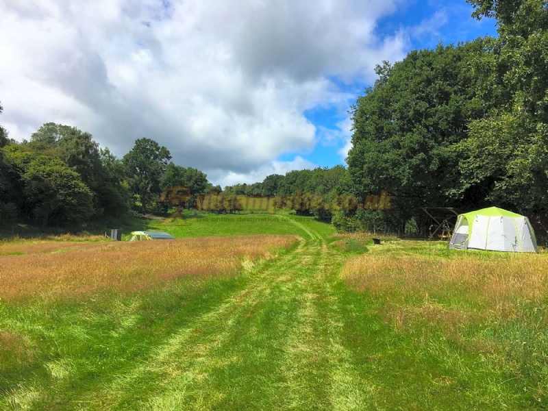 Wild Cherry Camping