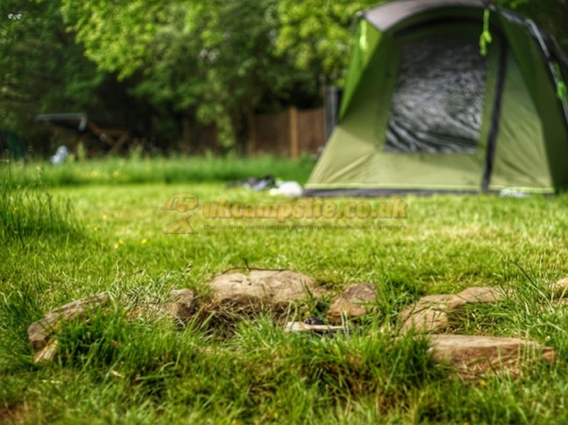 Wild Cherry Camping