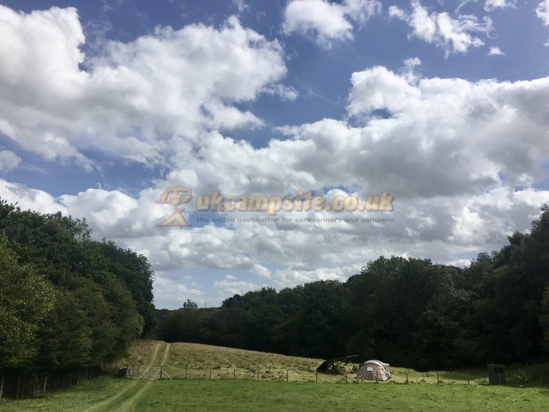 Wild Cherry Camping