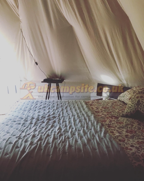 Wild Cherry Camping