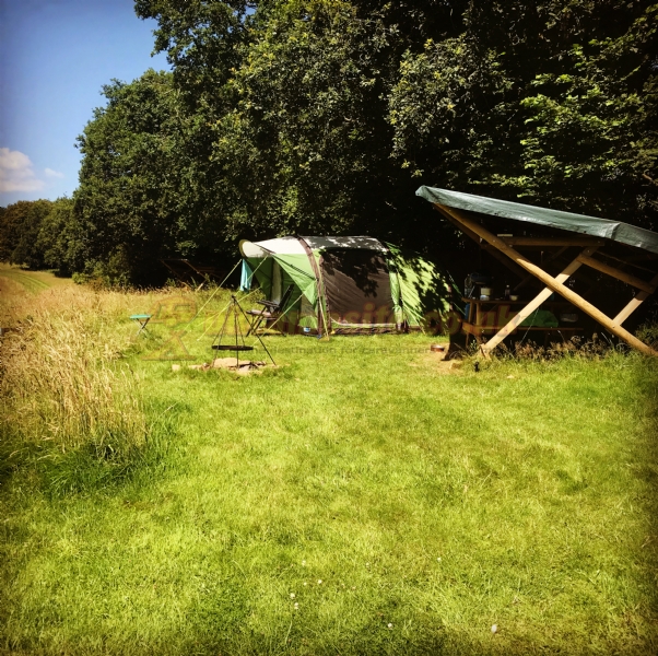 Wild Cherry Camping
