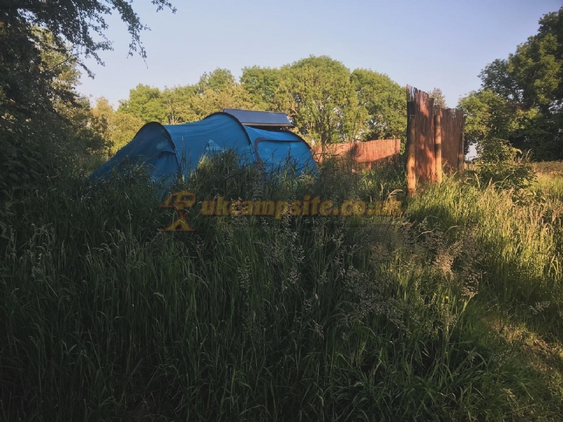 Wild Cherry Camping