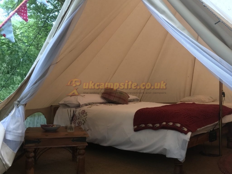 Wild Cherry Camping