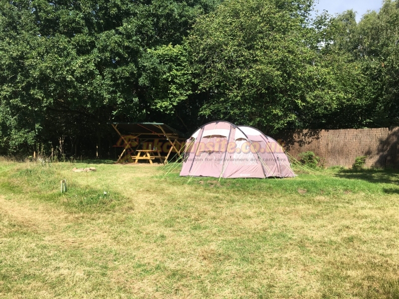 Wild Cherry Camping