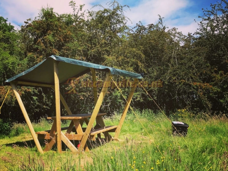Wild Cherry Camping