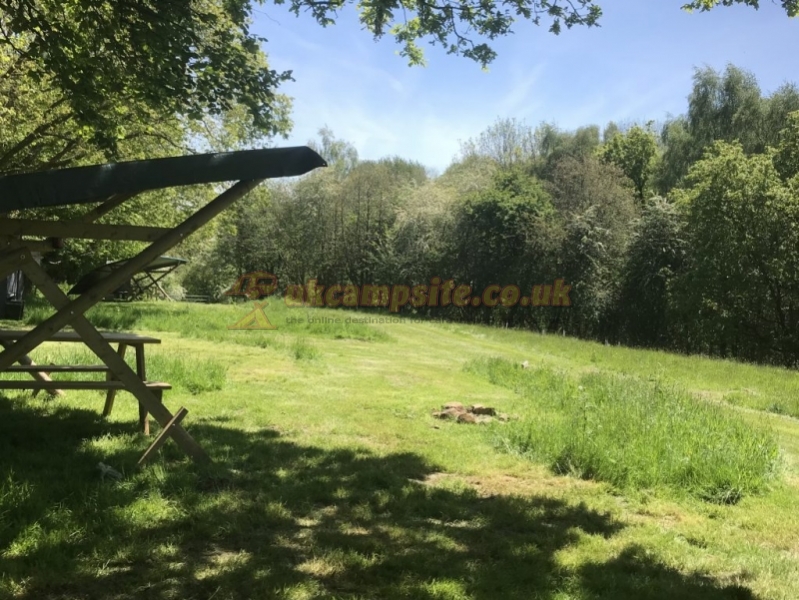 Wild Cherry Camping