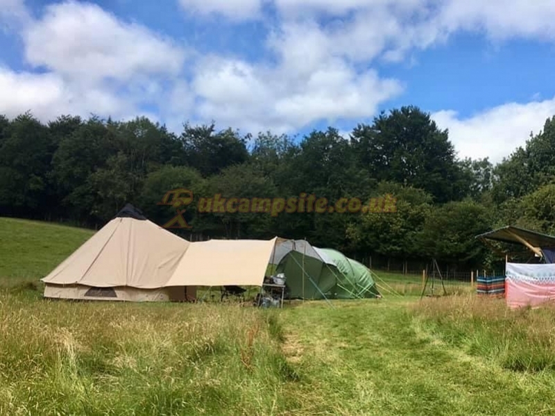 Wild Cherry Camping