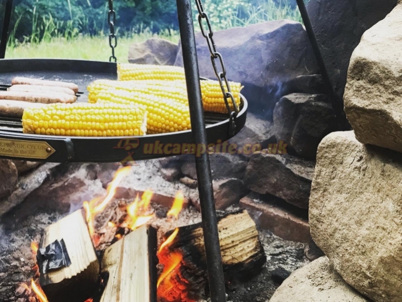 Wild Cherry Camping