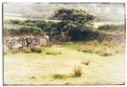 Dartmoor Camping Devon