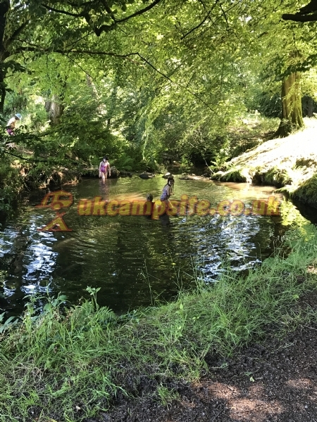Dartmoor Camping Devon