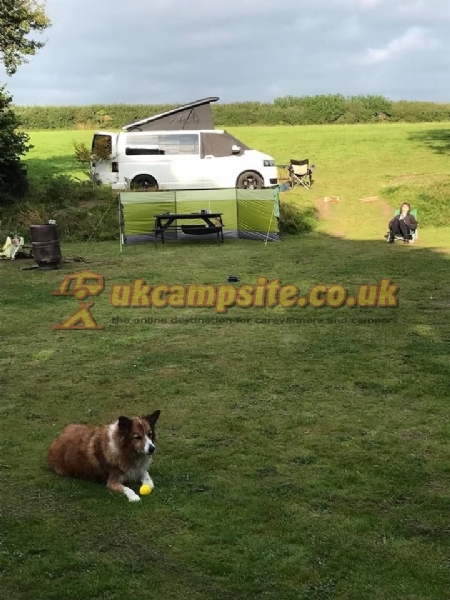 Dartmoor Camping Devon