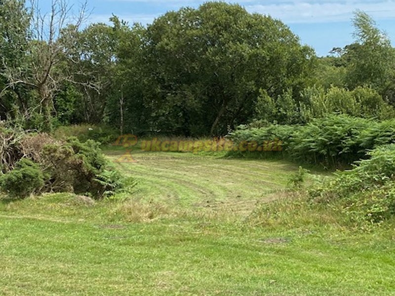 Dartmoor Camping Devon
