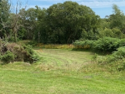 Dartmoor Camping Devon