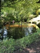 Dartmoor Camping Devon