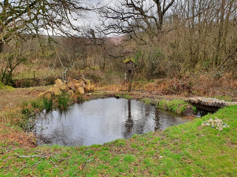 Dartmoor Camping Devon
