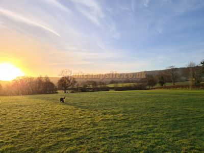 Buckland Farm Camping Buckland Farm Camping
