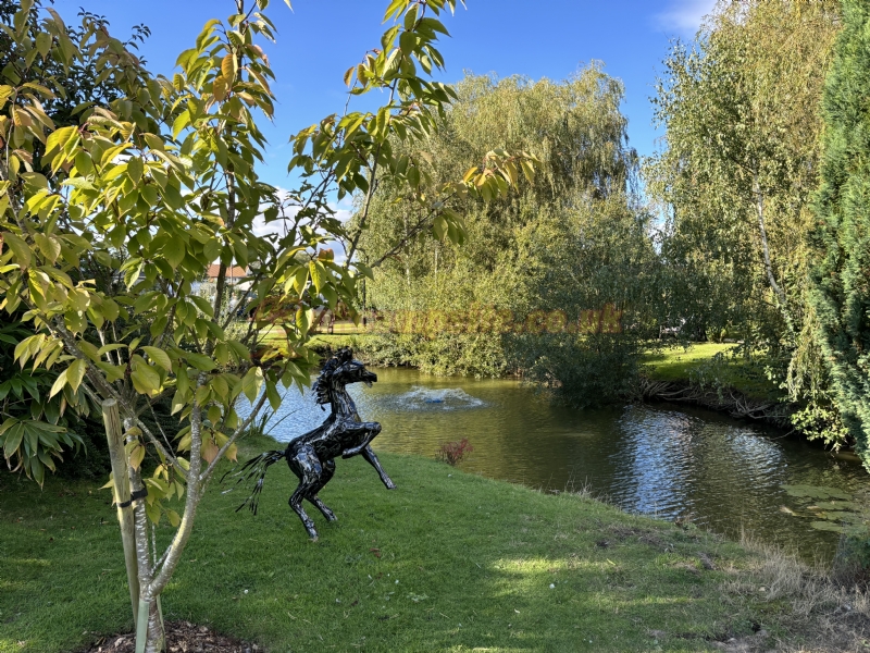 Willow Pond Camping And Certificated Location