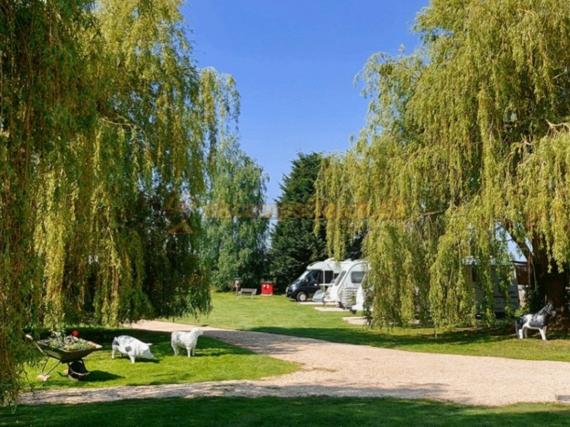 Willow Pond Camping And Certificated Location