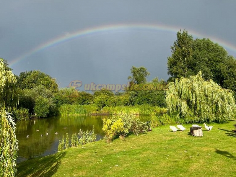 Willow Pond Camping And Certificated Location