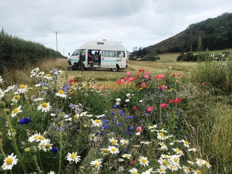 Nantcellan Barns Meadow Camping