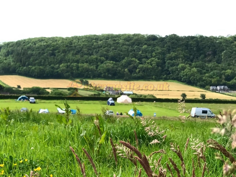 Nantcellan Barns Meadow Camping
