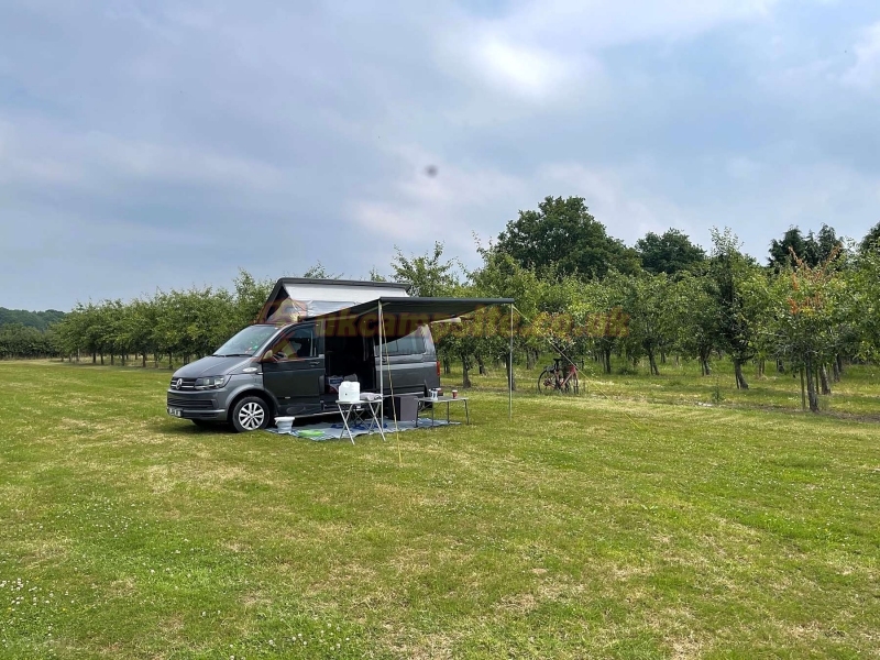 Frittenden Orchard Campsite