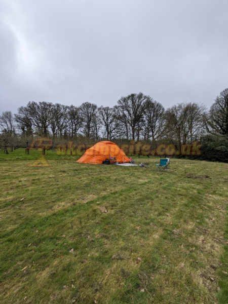 Frittenden Orchard Campsite