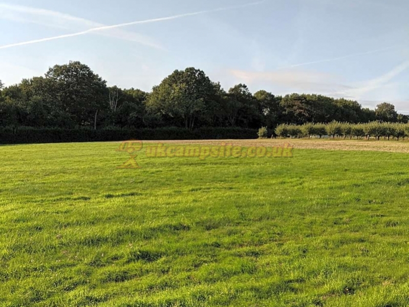 Frittenden Orchard Campsite