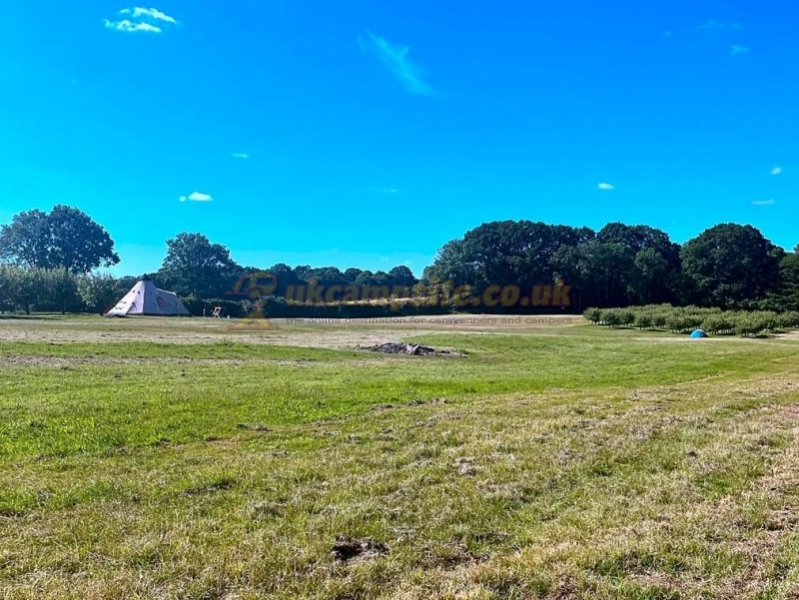Frittenden Orchard Campsite