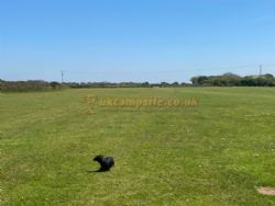 Sunny Corner Campsite