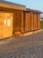 Sunny Corner Campsite