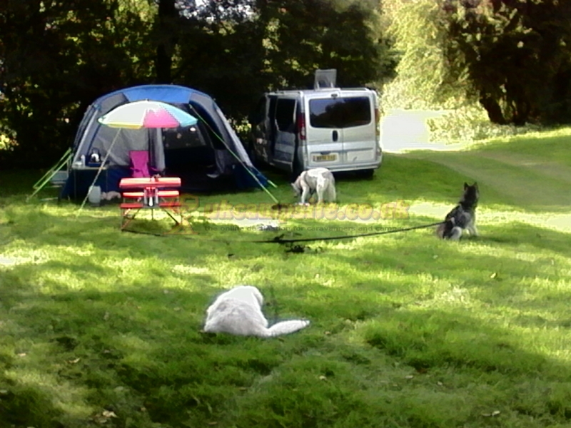 Pentwyn Dingle Campsite