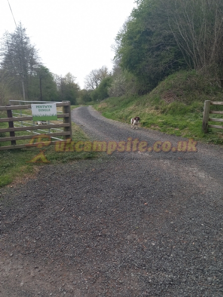 Pentwyn Dingle Campsite