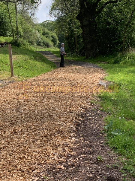 Pentwyn Dingle Campsite