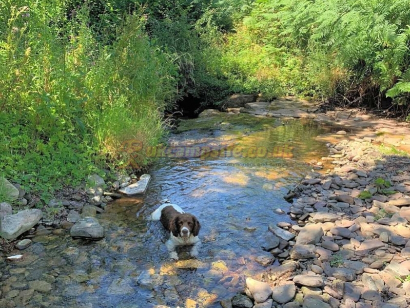 Pentwyn Dingle Campsite